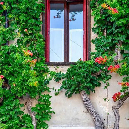 Apartment Casa Zefira