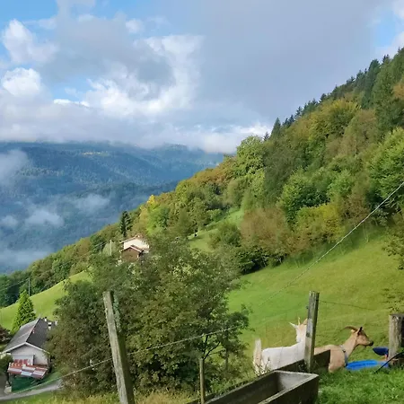 Casa Zefìra Appartamento